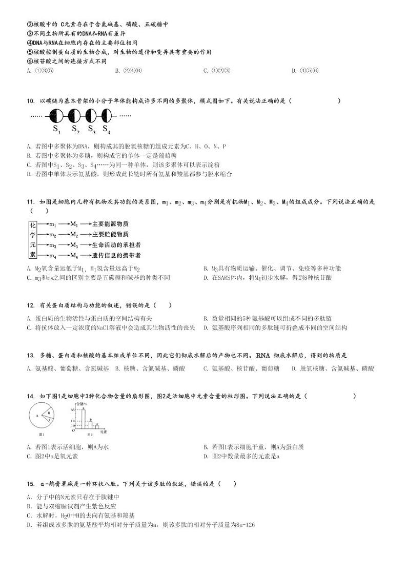 2024～2025学年河北石家庄高一上学期月考生物试卷(麒麟私立中学第二次)[原题+解析版]第2页