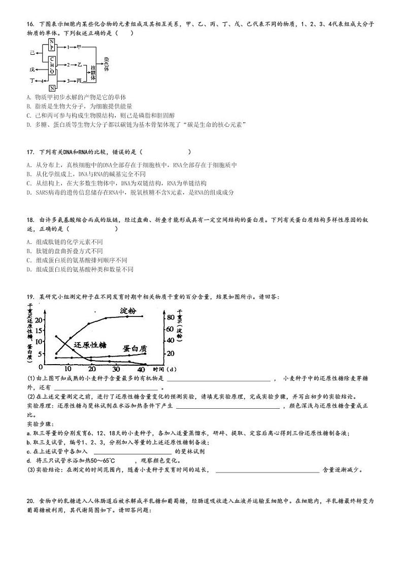 2024～2025学年河北石家庄高一上学期月考生物试卷(麒麟私立中学第二次)[原题+解析版]第3页