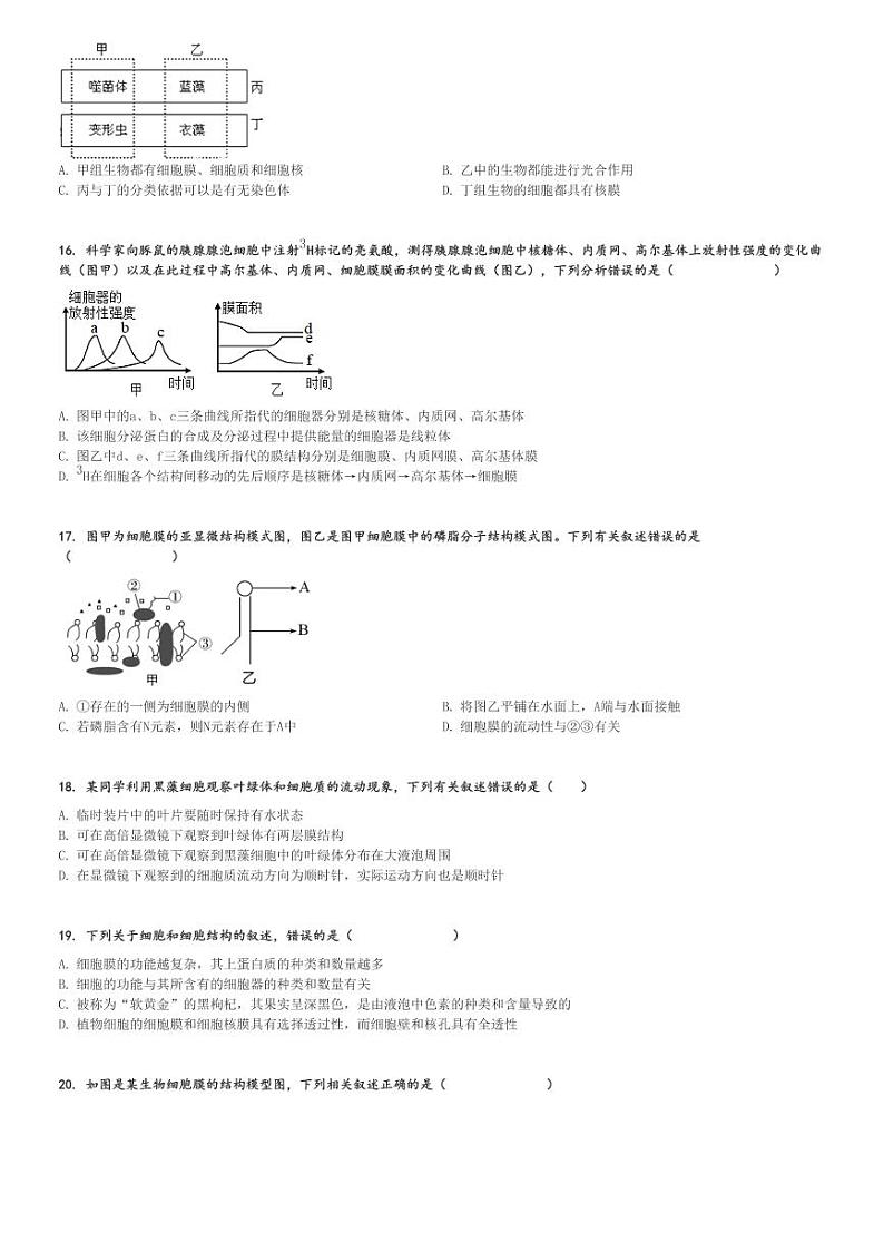2024～2025学年河北张家口高一上学期期中生物试卷(11月)[原题+解析版]第3页