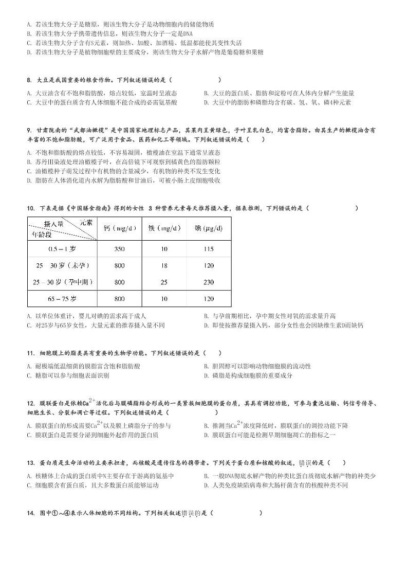 2024～2025学年湖南衡阳衡阳县衡阳县第一中学高一上学期期中生物试卷(11月)[原题+解析版]02
