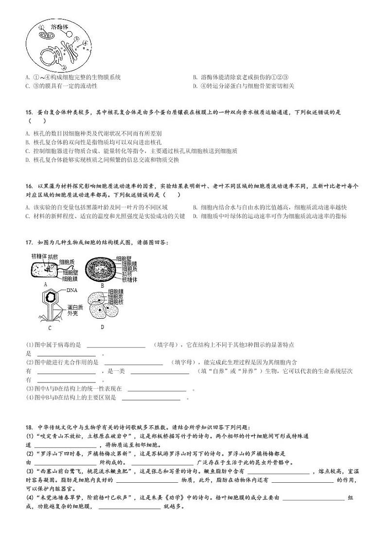 2024～2025学年湖南衡阳衡阳县衡阳县第一中学高一上学期期中生物试卷(11月)[原题+解析版]03