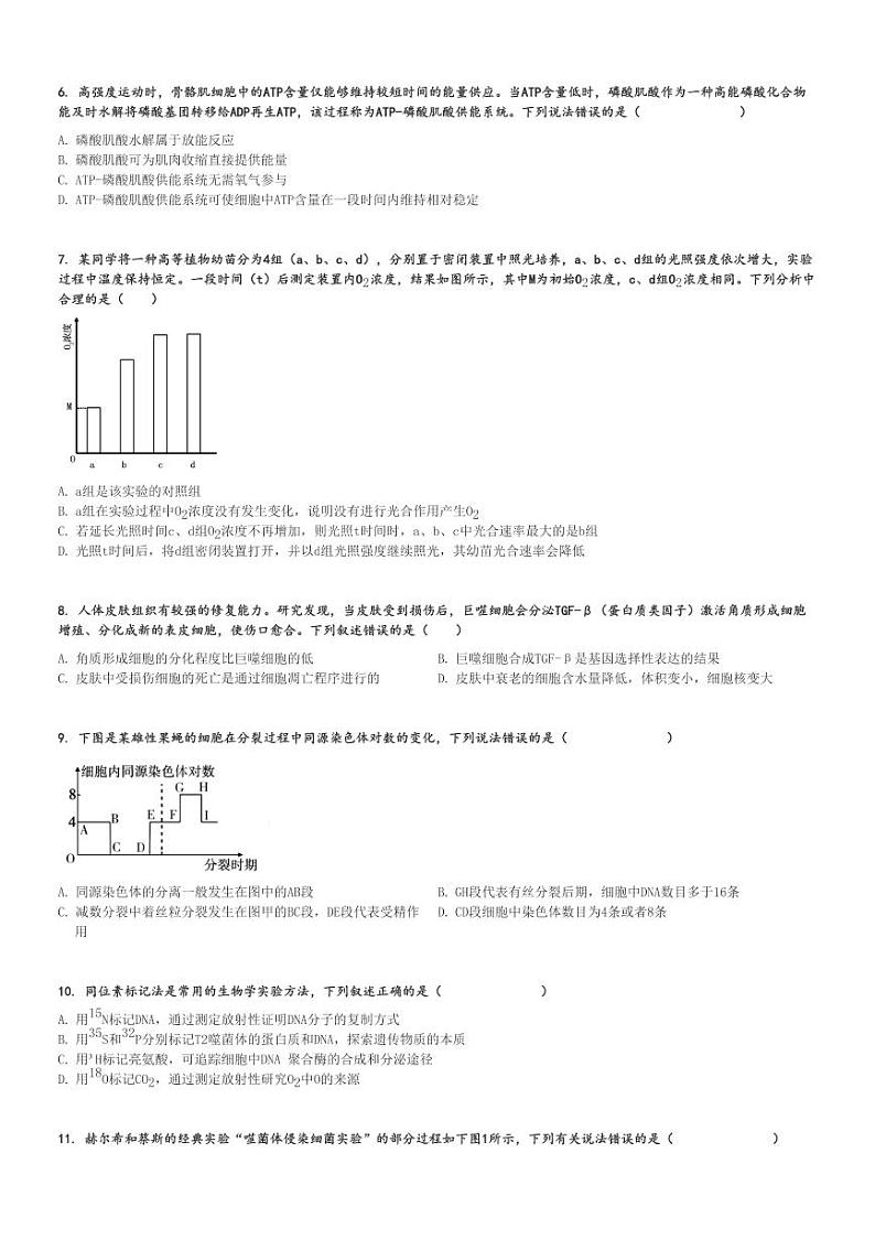 2024～2025学年10月四川内江高三上学期月考生物试卷(某校)[原题+解析版]第2页