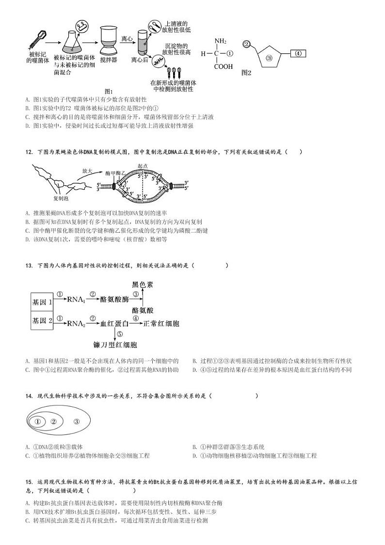 2024～2025学年10月四川内江高三上学期月考生物试卷(某校)[原题+解析版]第3页