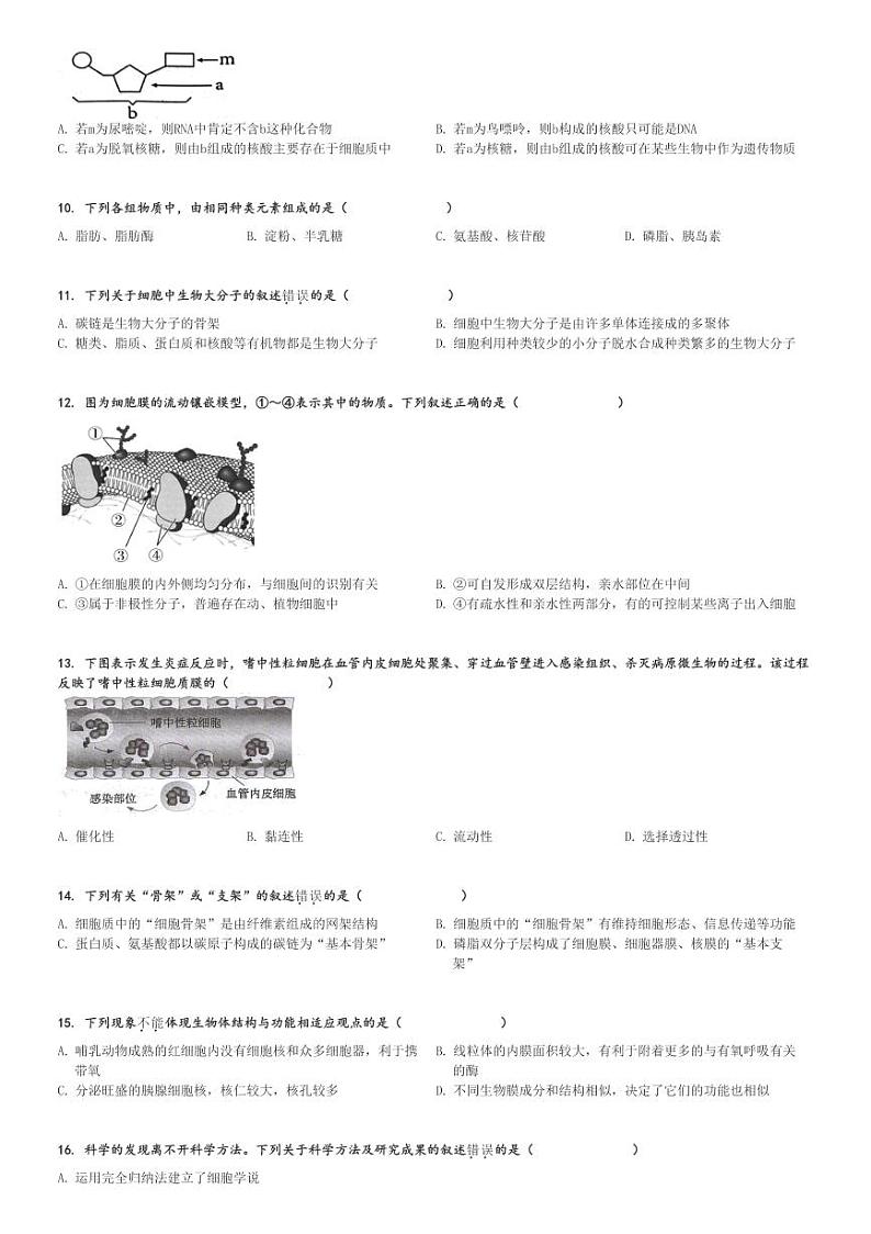 2024～2025学年江苏苏州高一上学期期中生物试卷(11月)[原题+解析版]第2页