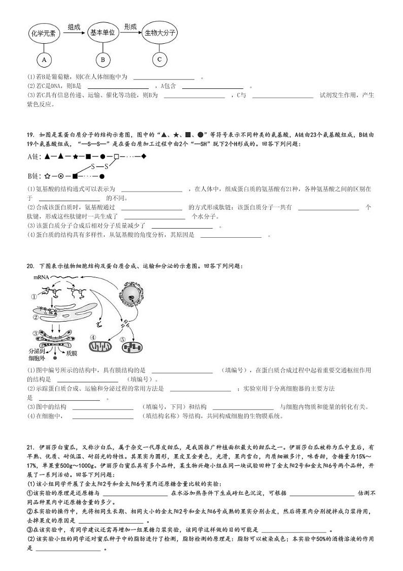 2024～2025学年四川成都高一上学期期中生物试卷(九县区)[原题+解析版]第3页