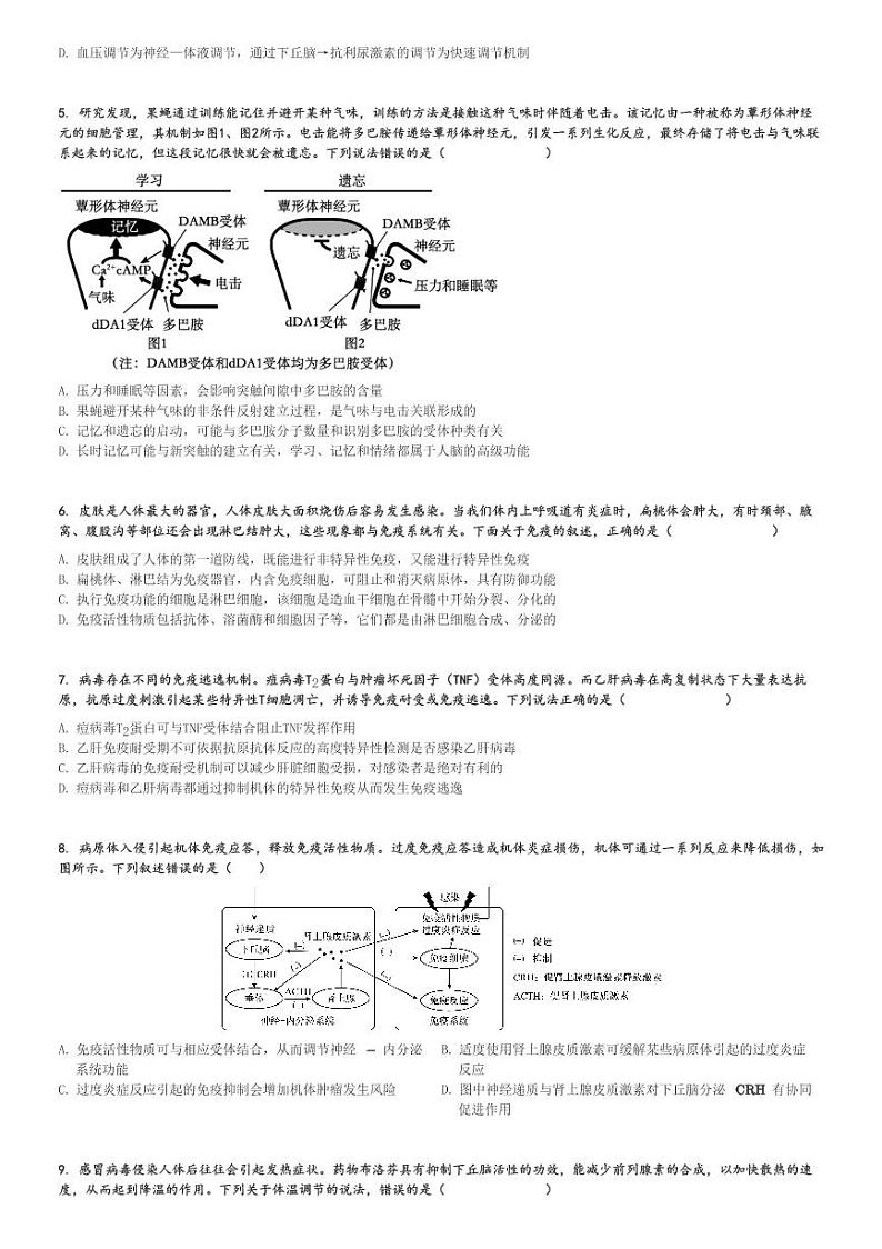 2024～2025学年山东德州高二上学期期中生物试卷(五校联考 11月)[原题+解析版]02