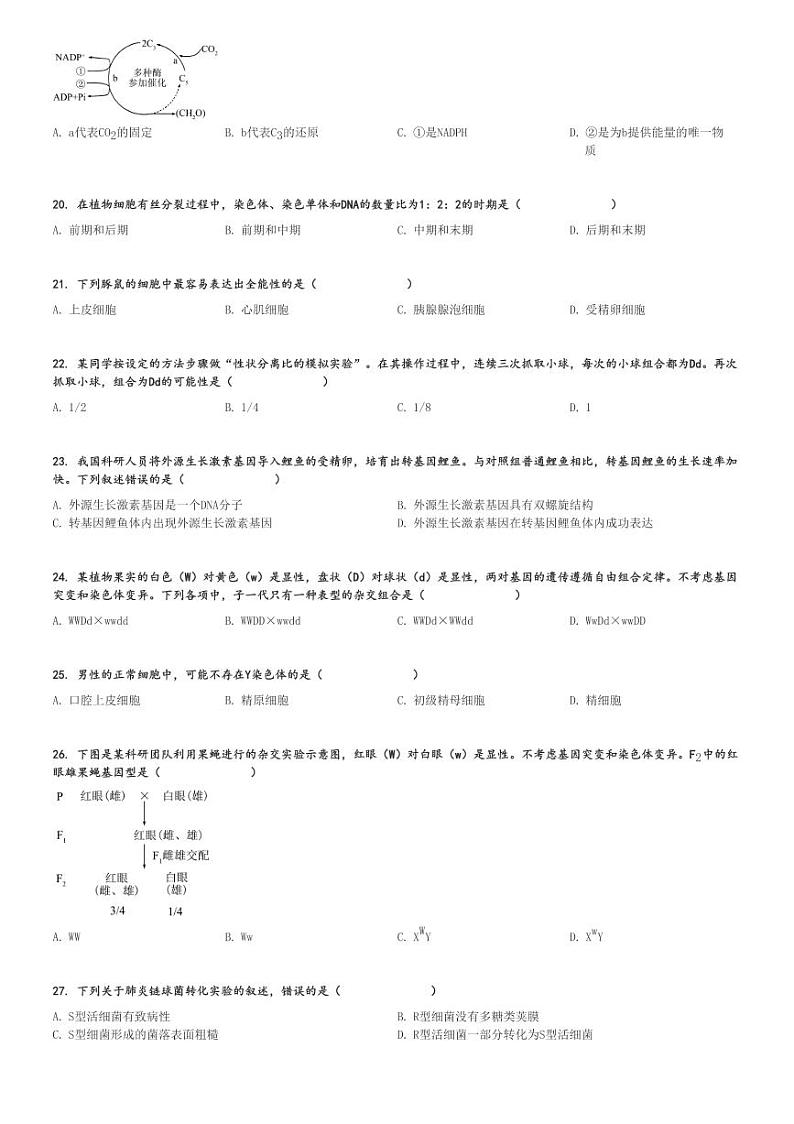 2024年5月河北高一会考生物试卷(普通高中学业水平合格性)[原题+解析版]第3页