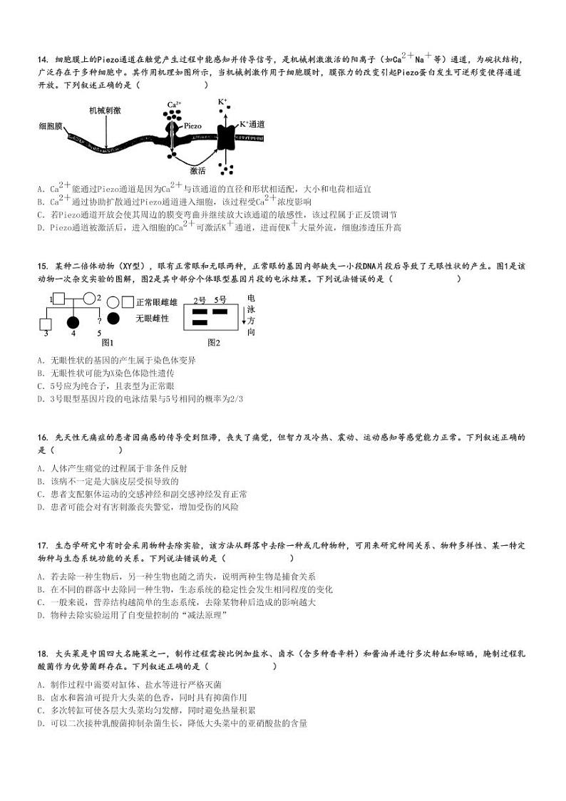 2024～2025学年11月河北高三上学期月考生物试卷(部分学校调研检测二)[原题+解析版]第3页