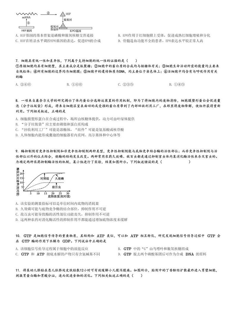 2024～2025学年四川内江威远县四川省威远中学高三上学期期中生物试卷[原题+解析版]第2页