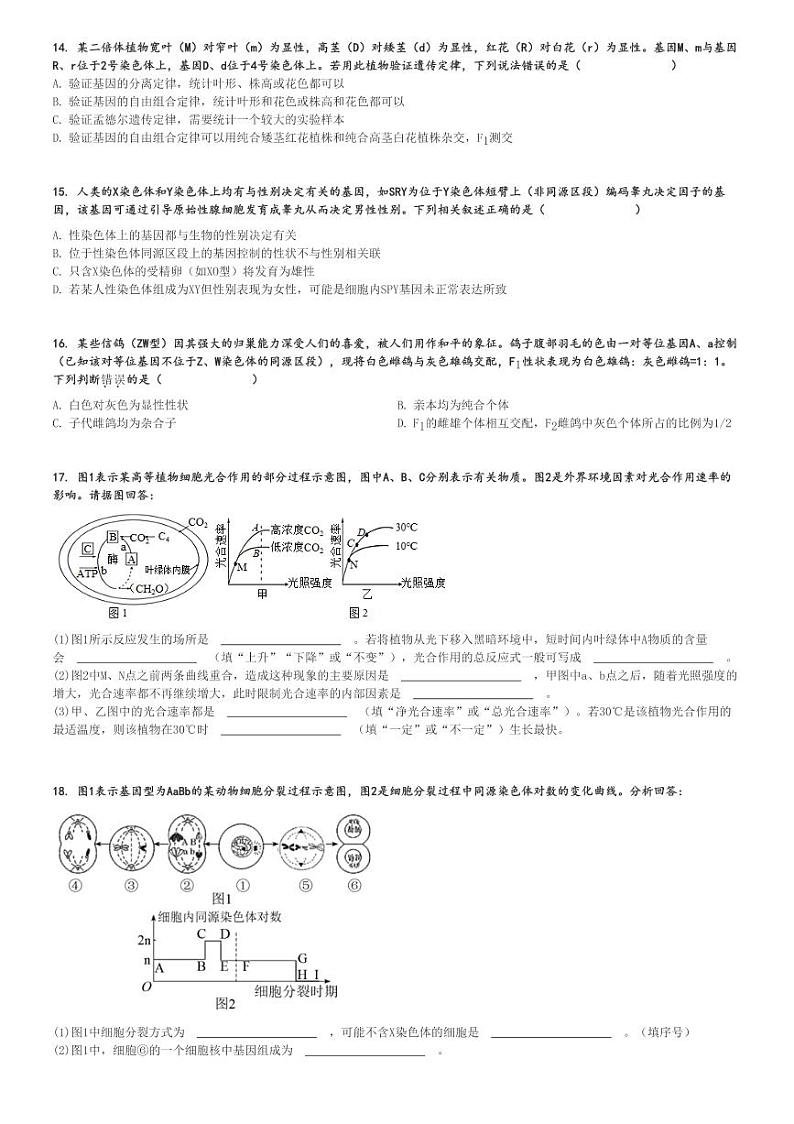 2024～2025学年宁夏吴忠利通区吴忠中学高三上学期月考生物试卷(第二次)[原题+解析版]第3页
