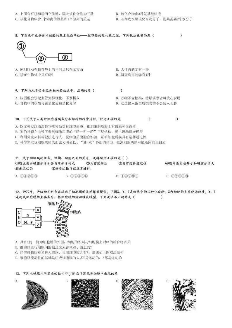 2024～2025学年新疆和田地区墨玉县墨玉县第一中学高一上学期期中生物试卷[原题+解析版]第2页