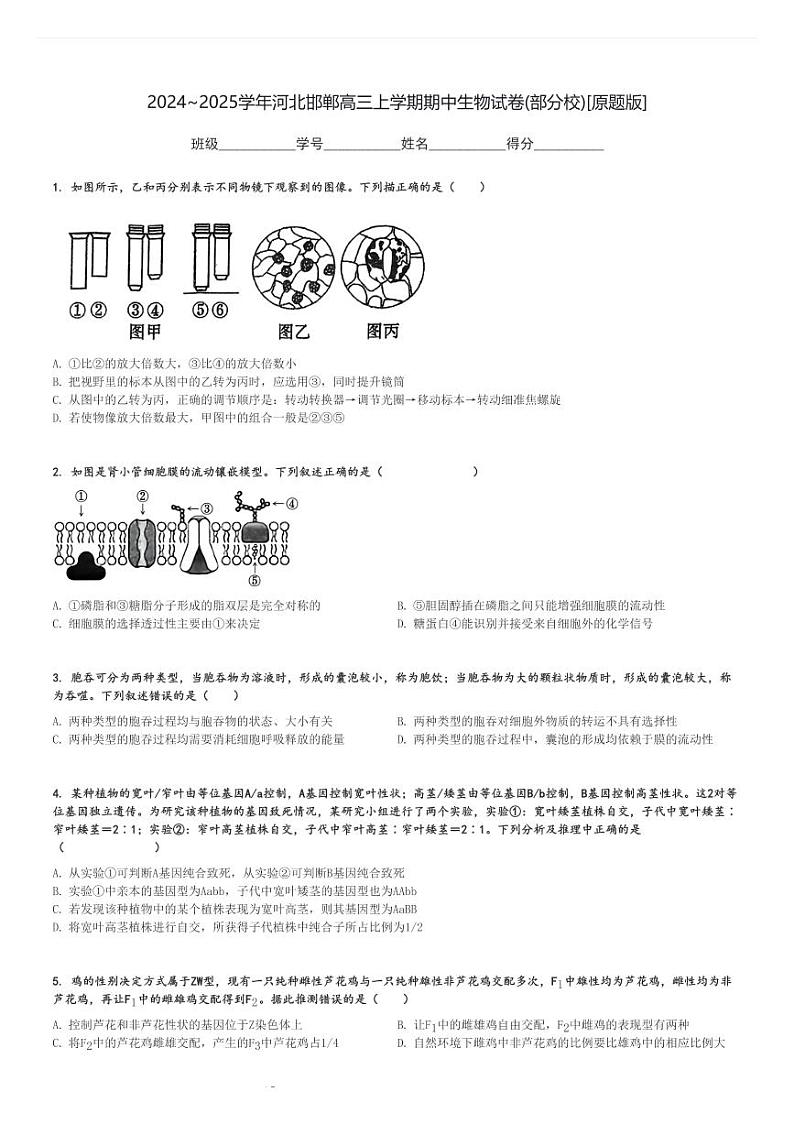2024～2025学年河北邯郸高三上学期期中生物试卷(部分校)[原题+解析版]第1页