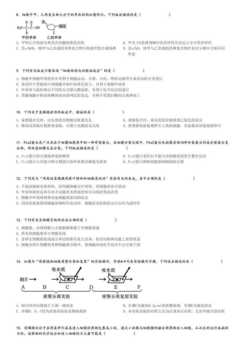2024～2025学年吉林长春朝阳区长春市第二中学高一上学期月考生物试卷(第二学程)[原题+解析版]第2页