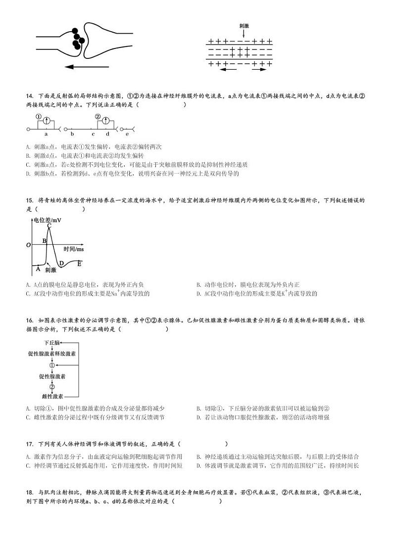 2024～2025学年10月福建高二上学期月考生物试卷(北大培文学校)[原题+解析版]第3页