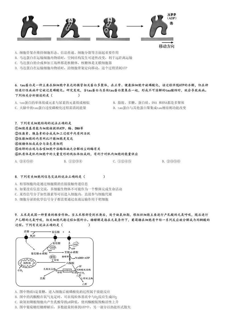 2024～2025学年11月山西晋中榆次区山西现代双语学校高三上学期月考生物试卷(南校)[原题+解析版]02