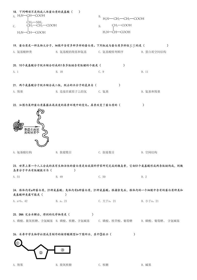 2024～2025学年11月河北衡水阜城县高一上学期月考生物试卷(实验中学)[原题+解析版]第3页