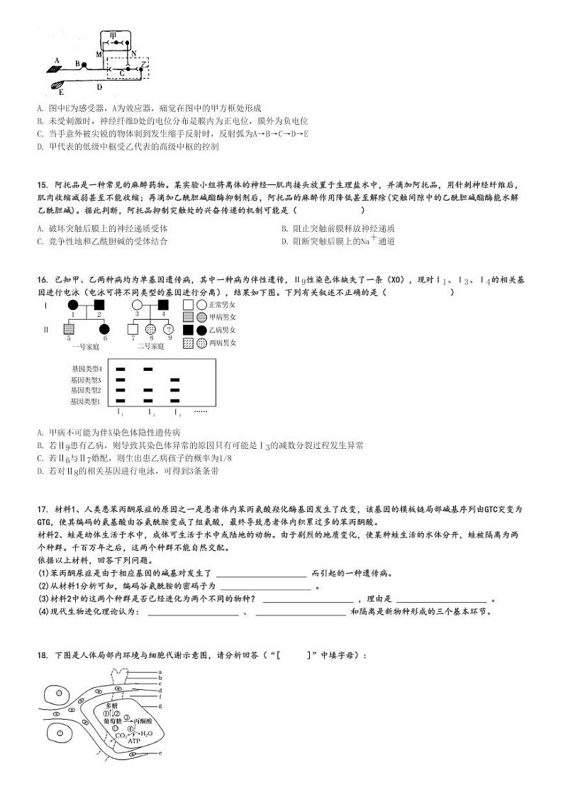 2022～2023学年广东江门高二上学期期中生物试卷(广德实验学校)[原题+解析版]03