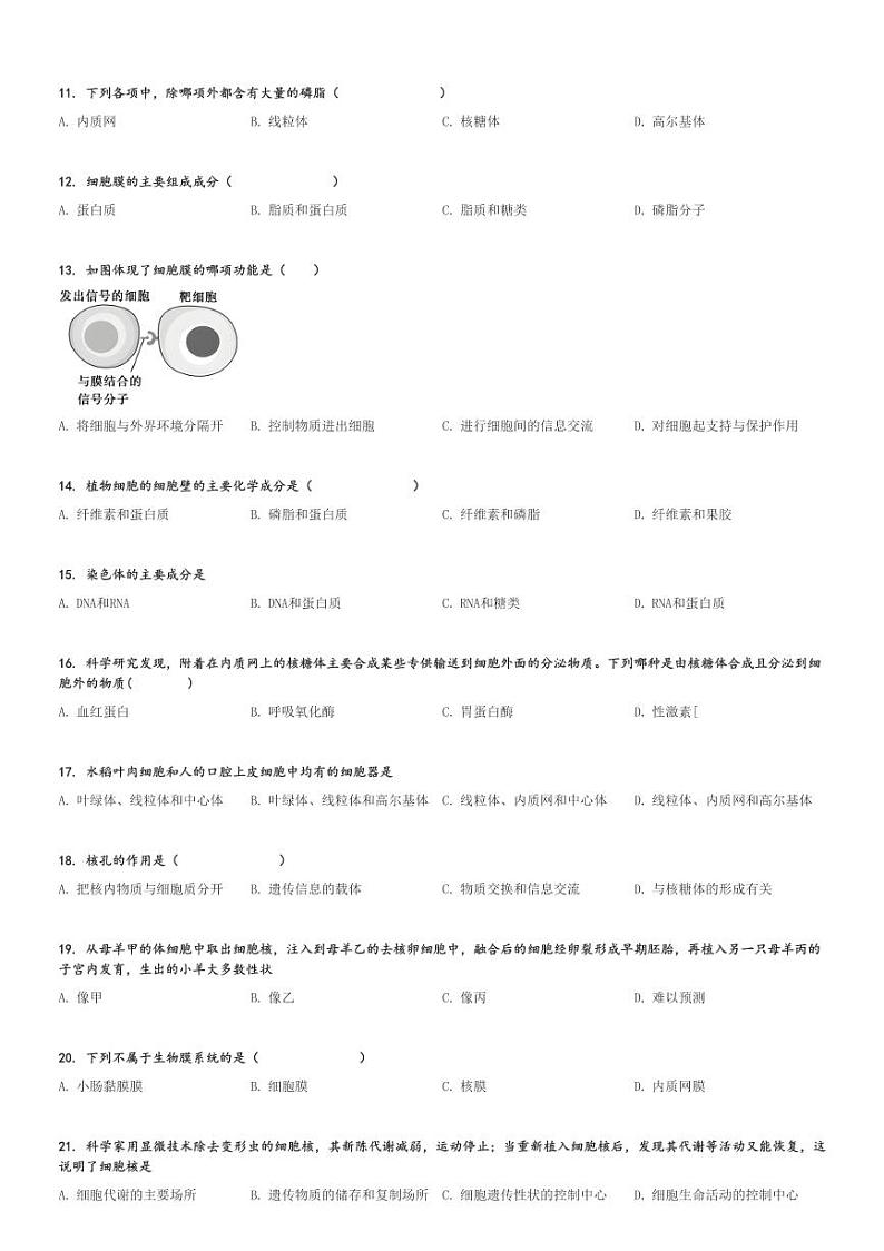 2024～2025学年新疆图木舒克市鸿德实验学校高一上学期期中生物试卷[原题+解析版]第2页