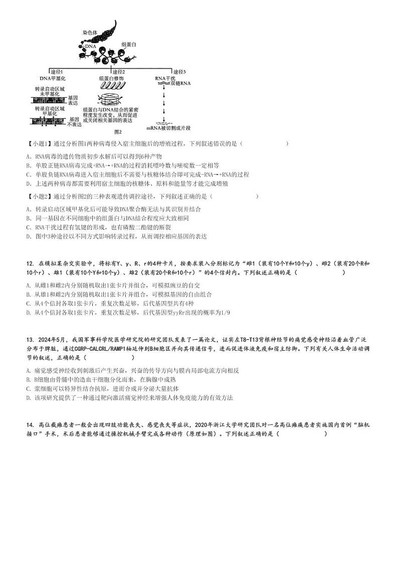 2024～2025学年浙江高二上学期期中生物试卷(金砖联盟)[原题+解析版]第3页
