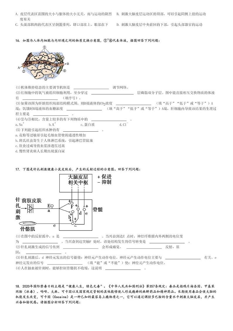 2024～2025学年9月云南保山昌宁县云南省昌宁县第二中学高二上学期月考生物试卷[原题+解析版]03