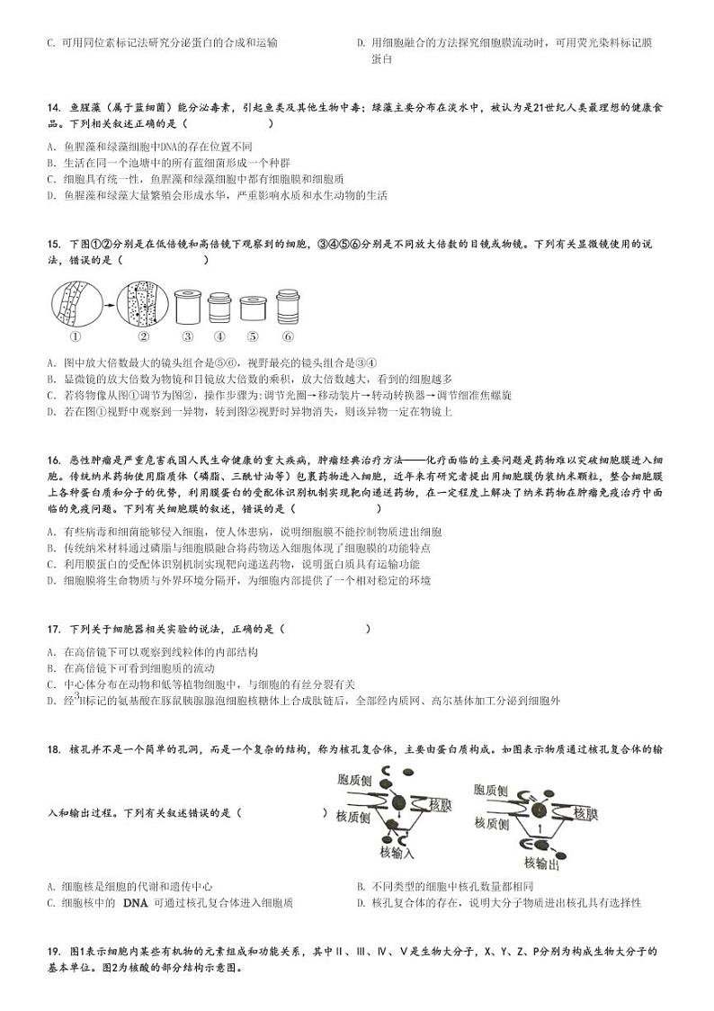 2024～2025学年河北保定高一上学期期中生物试卷(六校联盟11月期中联考)[原题+解析版]第3页