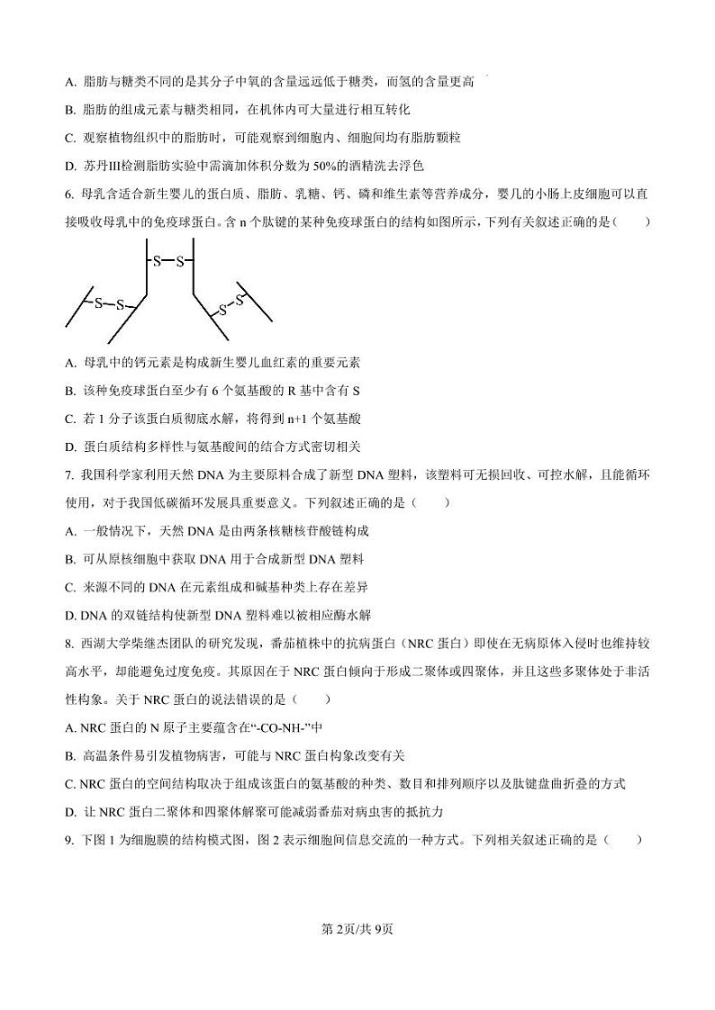 生物-湖南省长沙市湖南师范大学附属中学2024-2025学年高一上学期期中考试试题和答案第2页