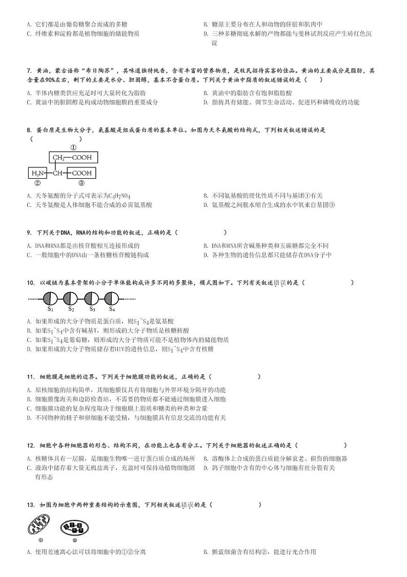 2024～2025学年辽宁朝阳朝阳县高一上学期期中生物试卷(重点中学11月)[原题+解析版]02
