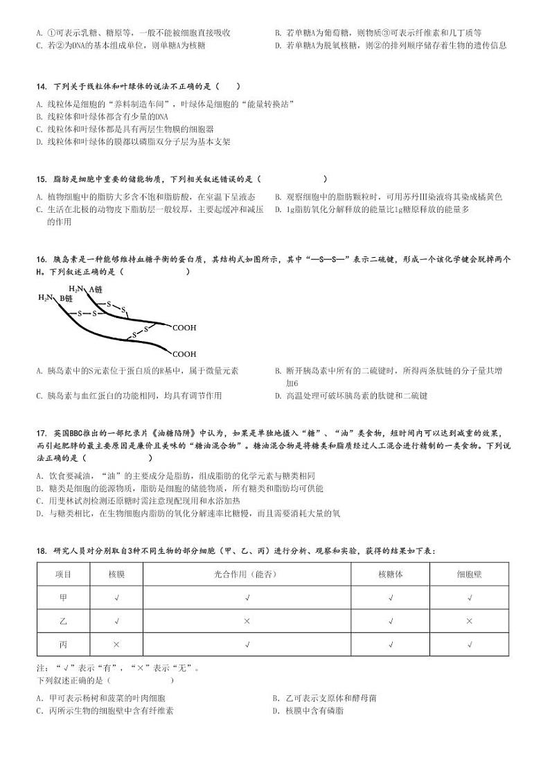 2024～2025学年辽宁葫芦岛龙港区高一上学期期中生物试卷(长江卫生中等职业技术学校11月)[原题+解析版]第3页