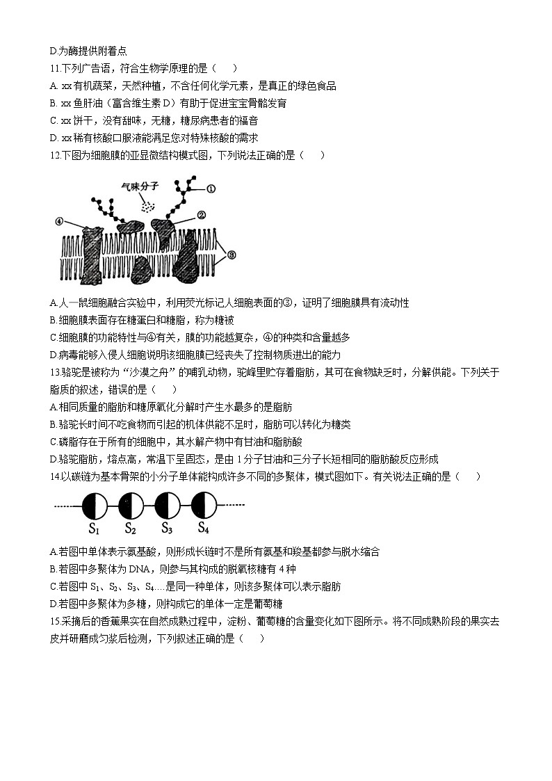 广东省深圳市高级中学高中园2024-2025学年高一上学期期中测试生物试卷第3页