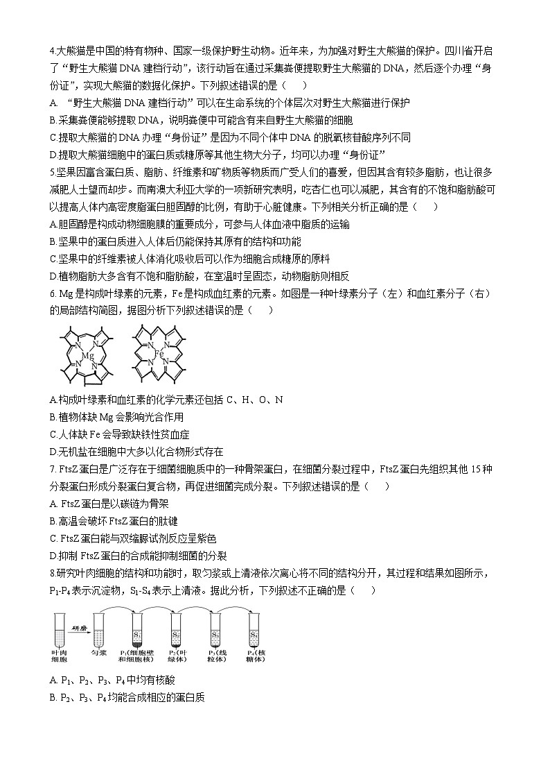福建省厦门市双十中学2024-2025学年高一上学期11月期中生物试题第2页