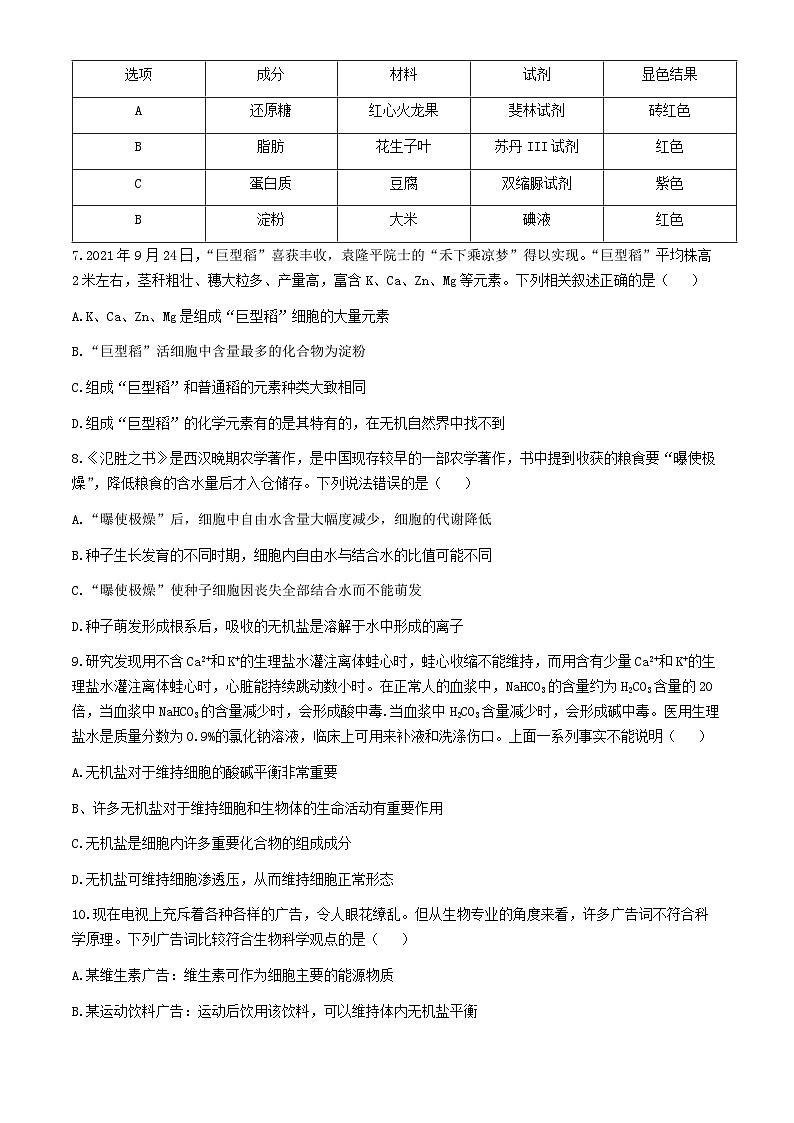 陕西省西安市高新第一中学2024-2025学年高一上学期期中考试生物试题第2页