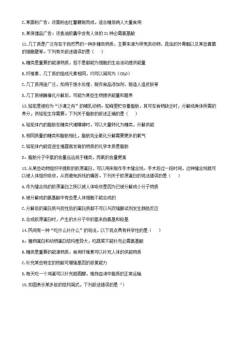陕西省西安市高新第一中学2024-2025学年高一上学期期中考试生物试题第3页