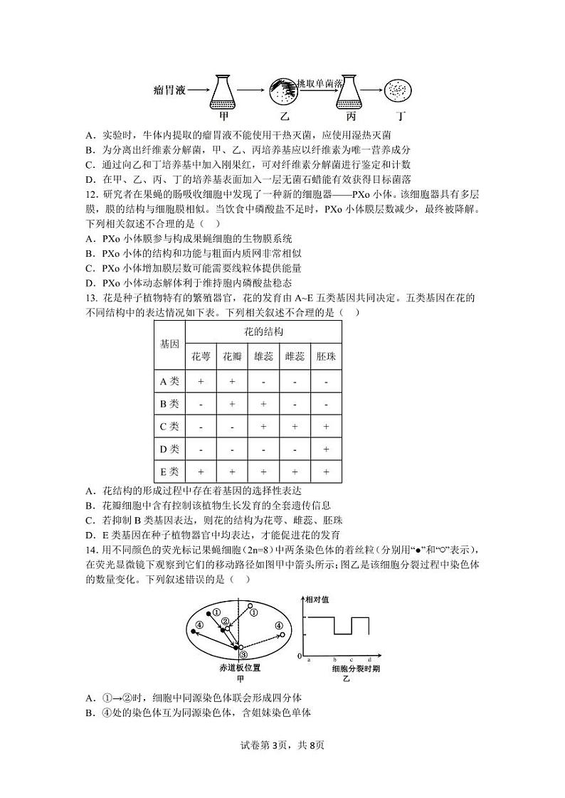 四川省成都市第七中学2024-2025学年高三上学期11月期中考试生物第3页
