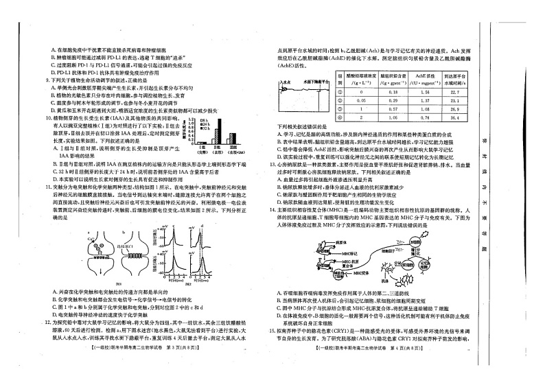 福建省龙岩市12校2024-2025学年高二上学期11月期中生物试题第2页