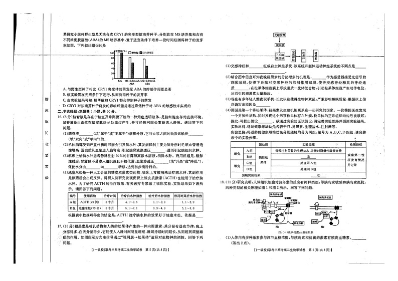 福建省龙岩市12校2024-2025学年高二上学期11月期中生物试题第3页