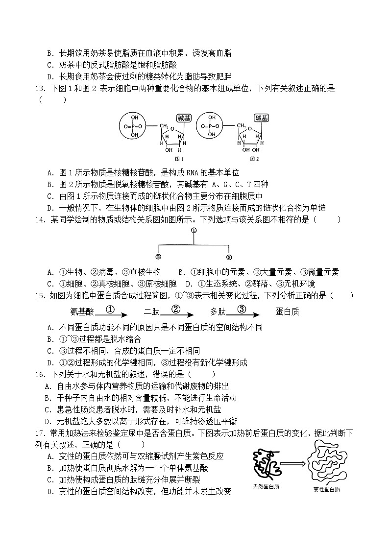 四川省达州市外国语学校2024-2025学年高一上学期10月月考生物试题第3页