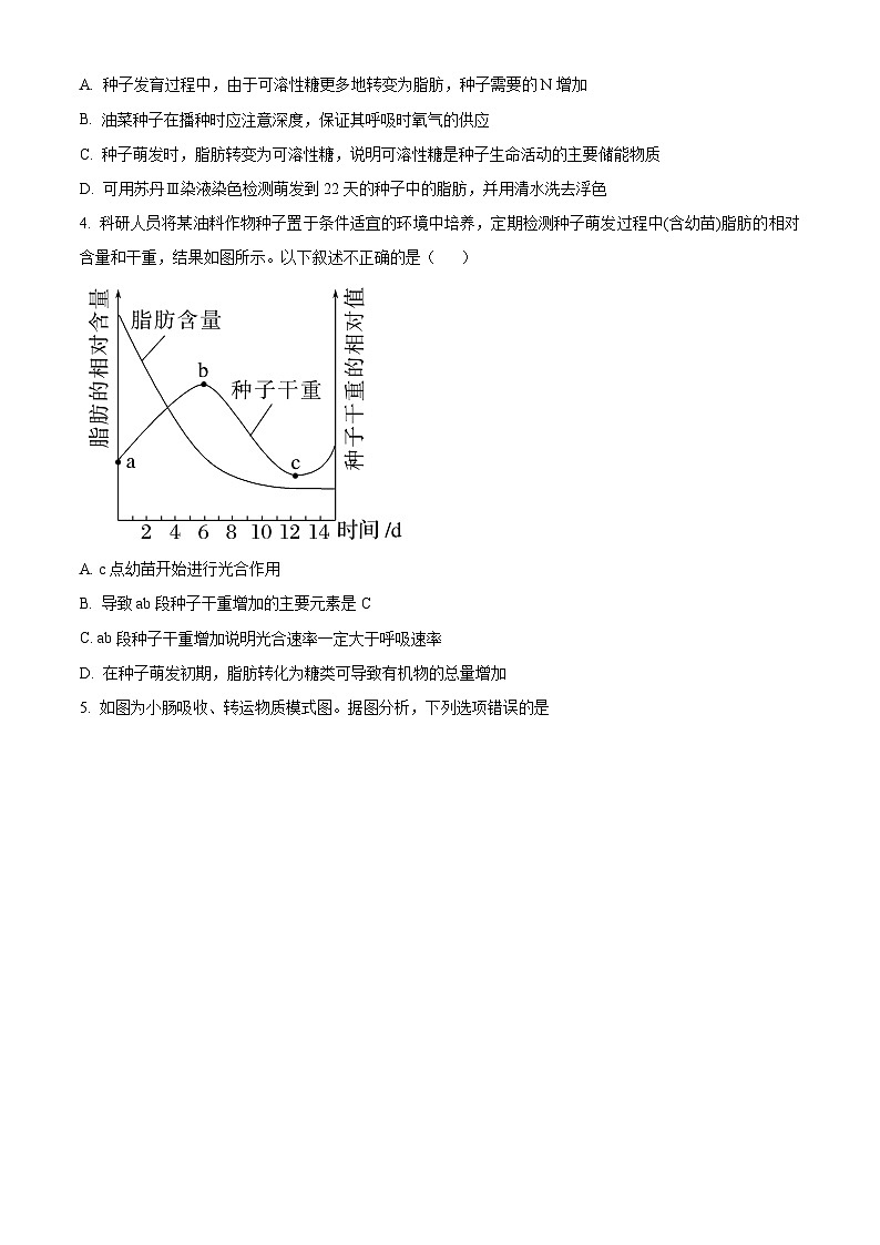 陕西省西安市部分学校联考2024-2025学年高一上学期10月月考生物试题  Word版无答案第2页