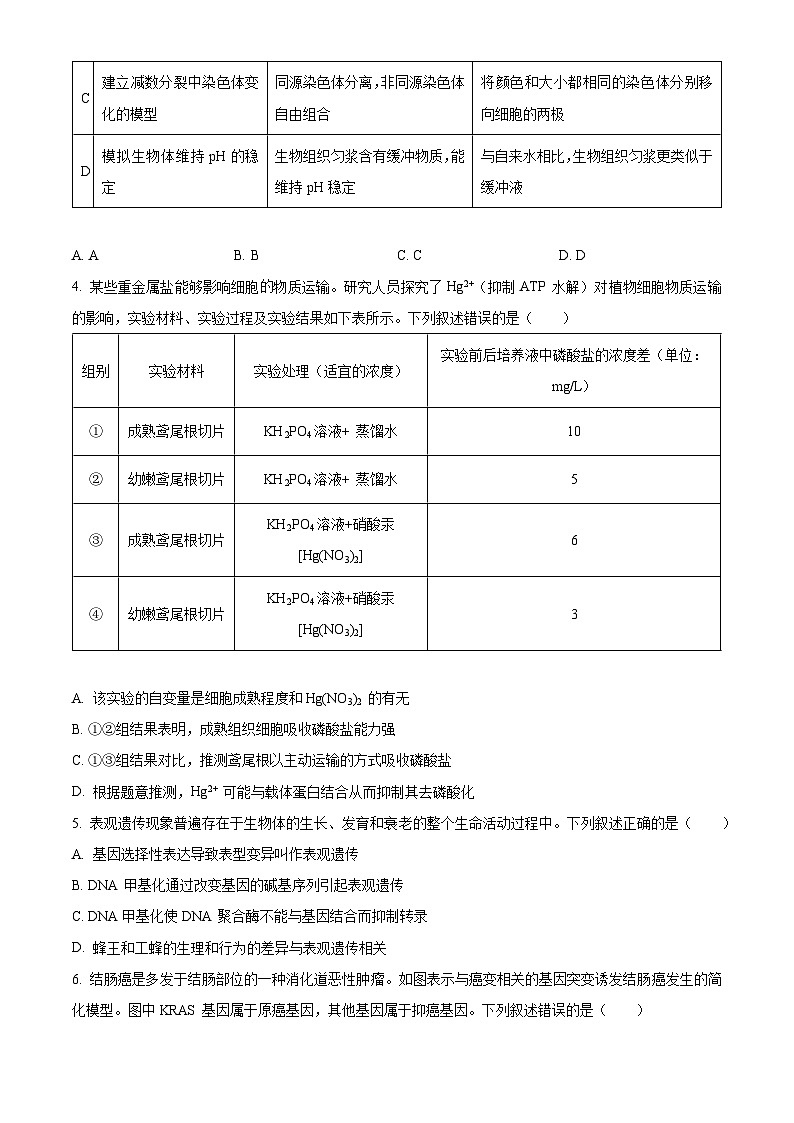 2025届云南省保山市高三模拟预测生物试题  Word版无答案第2页