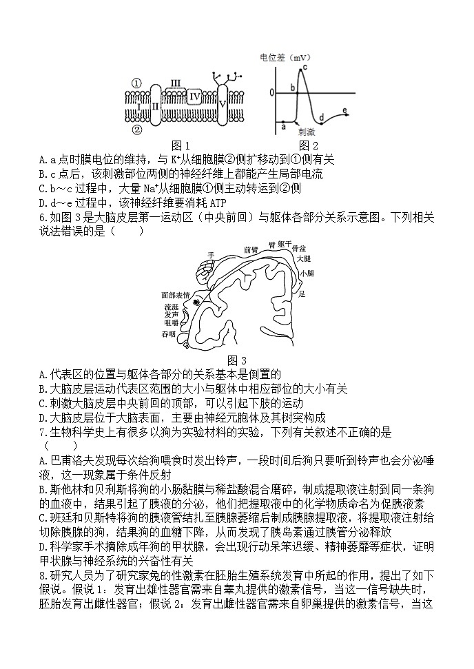 陕西省西安市新城区陕西省西安中学2024-2025学年高二上学期11月期中考试生物试题第2页