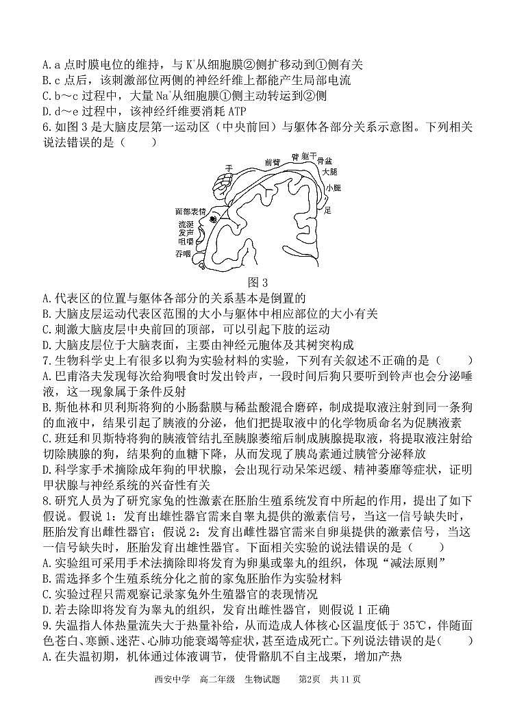高二生物期中试题第2页