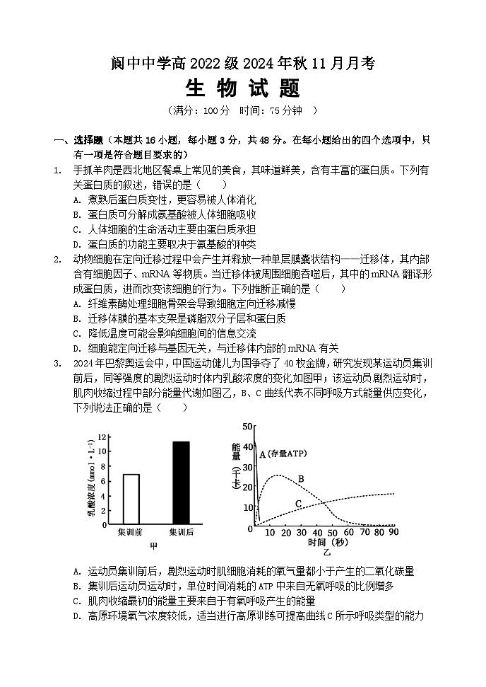 新阆中中学校高2022级2024年11月月考第1页