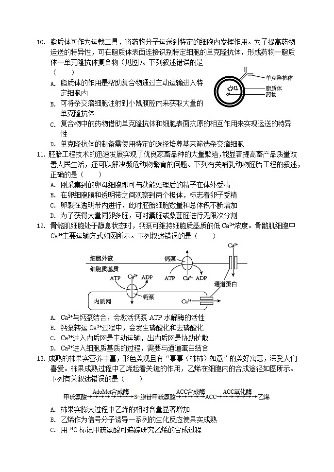 新阆中中学校高2022级2024年11月月考第3页