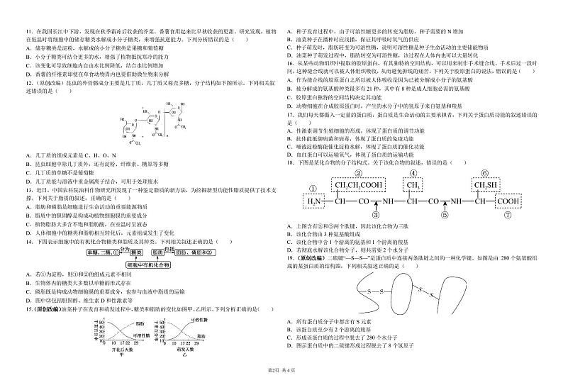 甘肃省兰州市第三十三中学2024-2025学年高一上学期期中考试生物试卷第2页