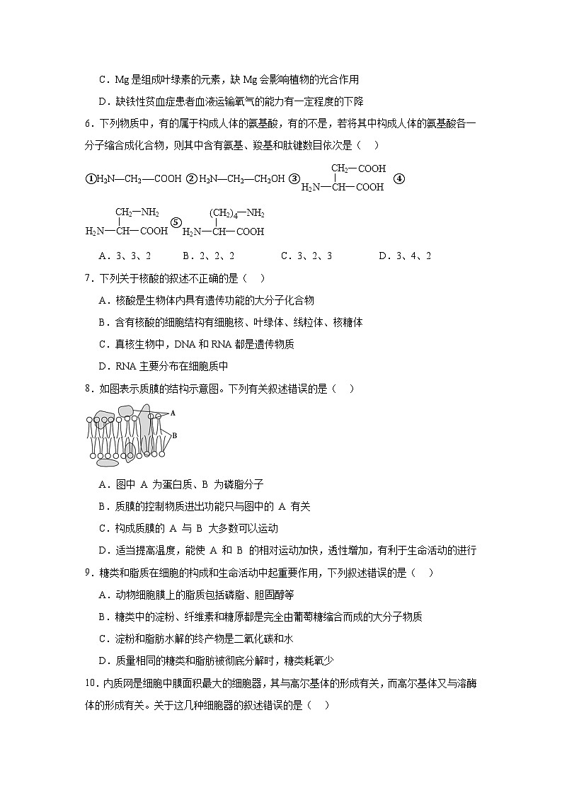 创新高级中学2024下学期期中考试高一生物试卷第2页