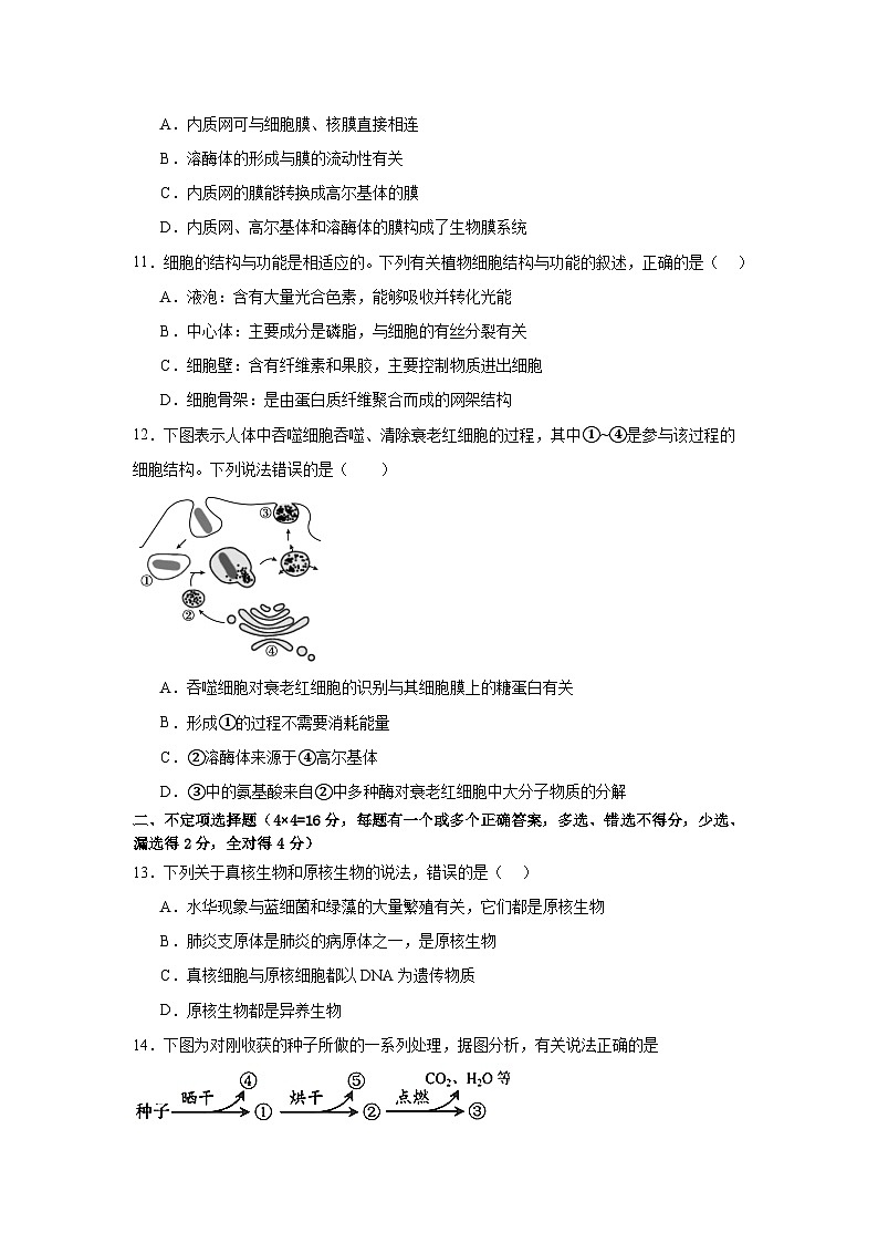 创新高级中学2024下学期期中考试高一生物试卷第3页
