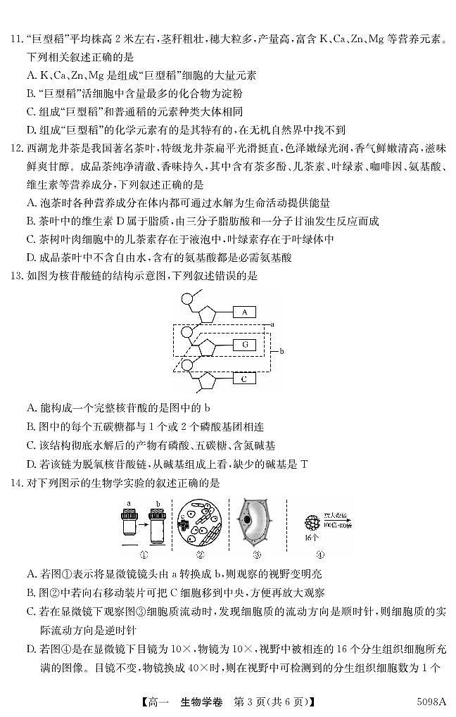 广东省东莞市两校2024-2025学年高一上学期期中联合考试生物试题第3页