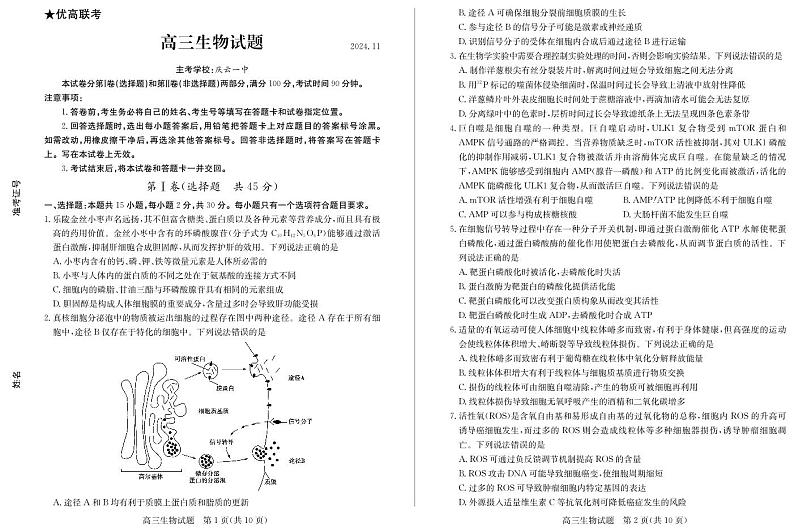山东省德州市2024-2025学年高三上学期期中考试生物试题第1页