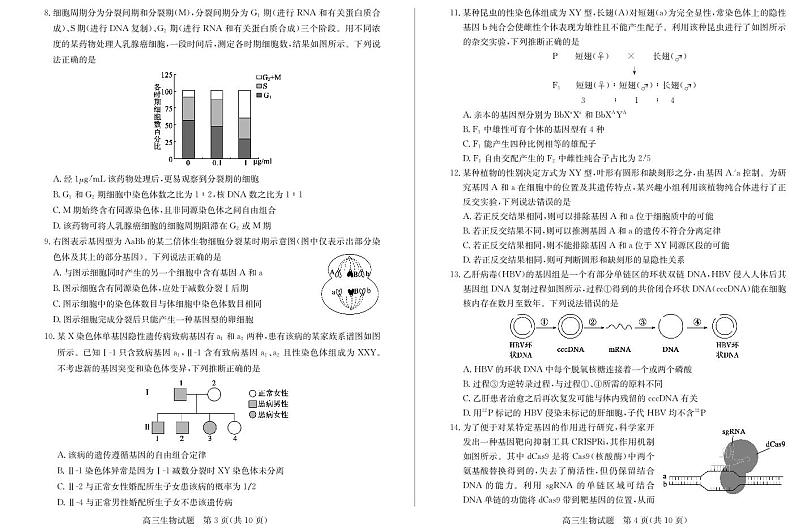 山东省德州市2024-2025学年高三上学期期中考试生物试题第2页