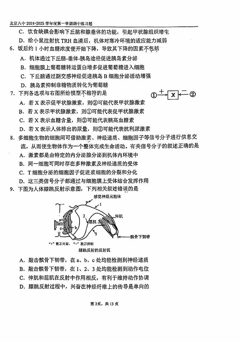 2024北京八中高二（上）期中生物试卷第2页