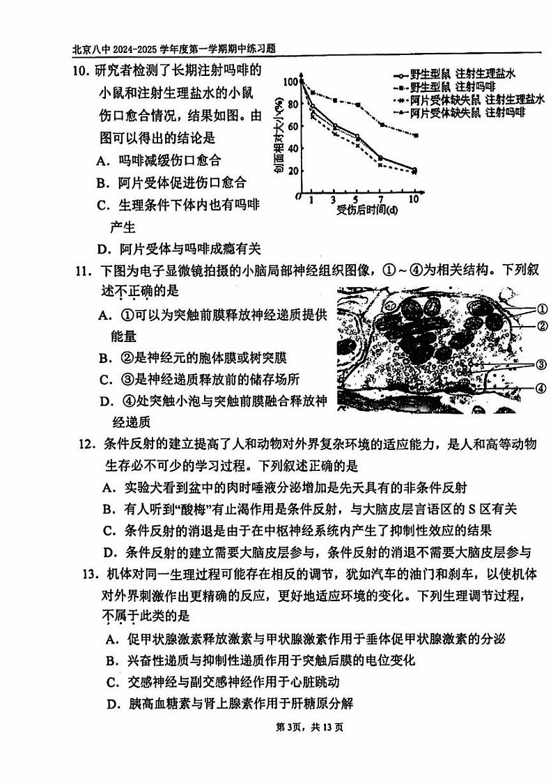 2024北京八中高二（上）期中生物试卷第3页
